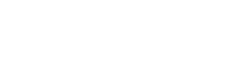 IN Health Europe