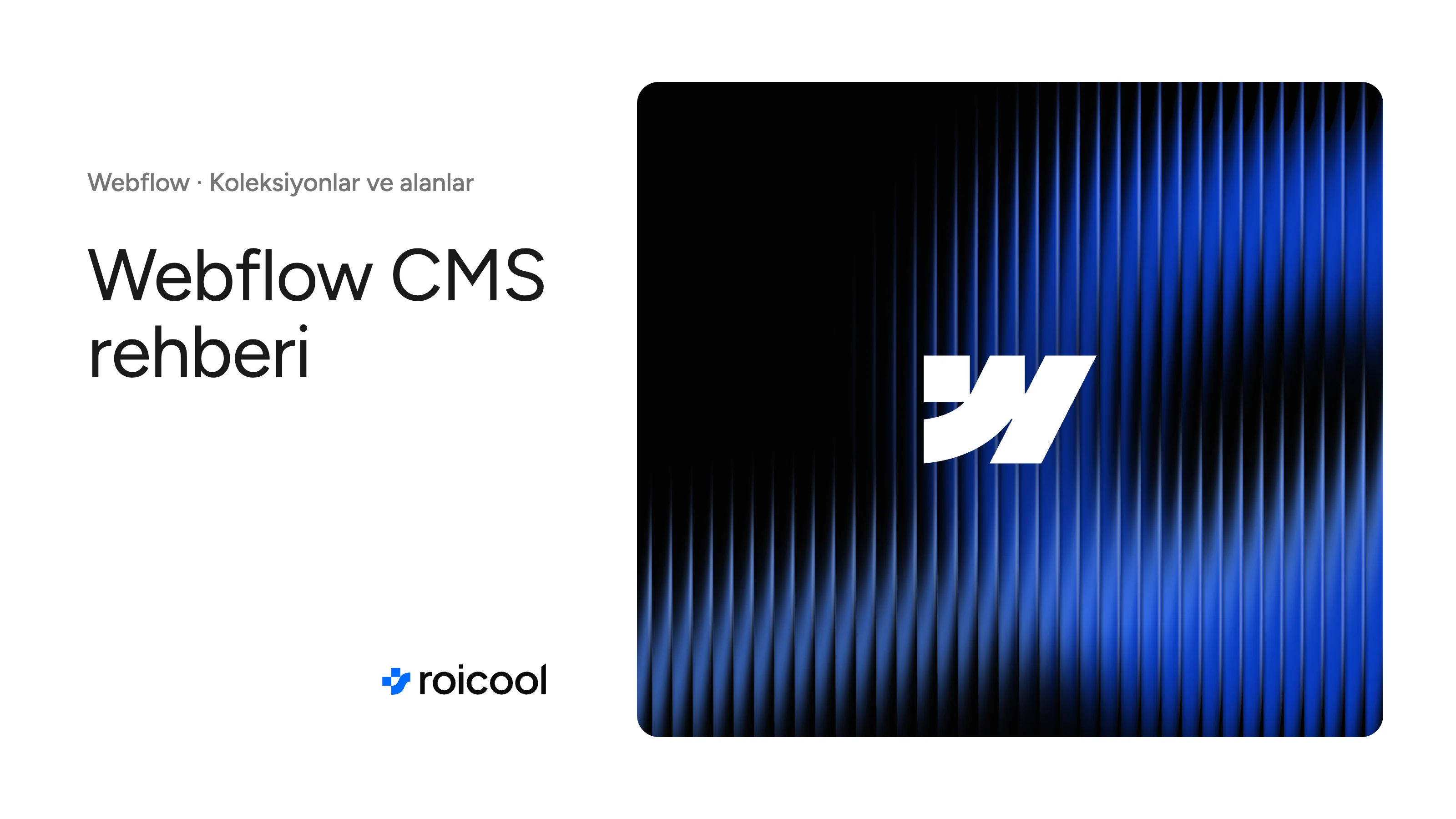 Webflow CMS rehberi: Webflow logosu